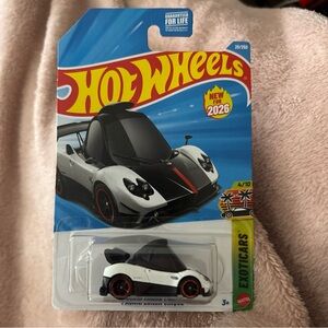 Hot wheels Collectable with a misprinted paint job!